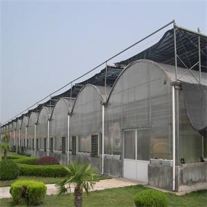 连栋温室大棚 连栋温室大棚